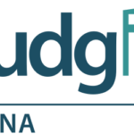 BudgIT Ghana & Civil Society Youth Platform Demand Full Disclosure of Constitutional Review Committee Report 